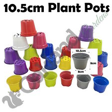 Multi Coloured Plastic Plant