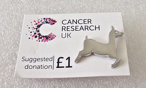 Cancer research pin badge - cancer,