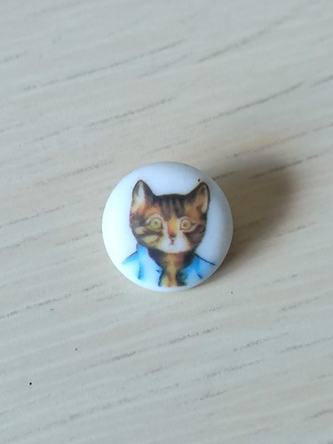 Vintage beatrix potter button - vintage,
