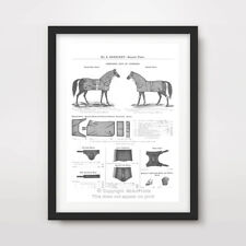 VINTAGE SADDLERY BROCHURE PAGE HORSE EQUESTRIAN ART PRINT Poster Wall A4 A3 A2