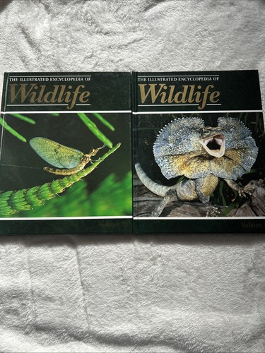 The illustrated encyclopedia - the,