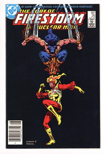 The fury firestorm - fury, vol