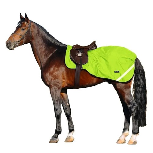 Horse sheet - hm,