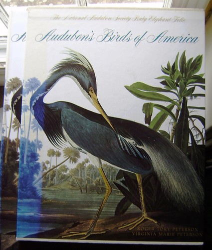 1990 audubon birds of - birds,