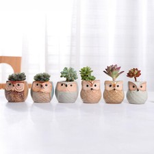 6pcs Ceramic Mini Owl Plant