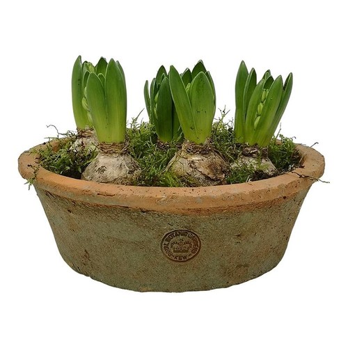 Kew gardens bulb bowl round - bowl,