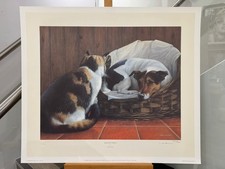 Nigel Hemming - Squatters Rights (Print Only) - In Stock