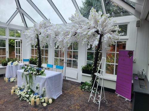 Blossom trees in - ,