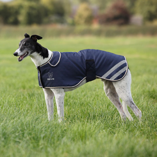 Digby fox waterproof - fox,