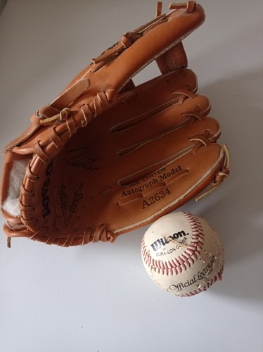 Wilson joe carter autograph - joe,