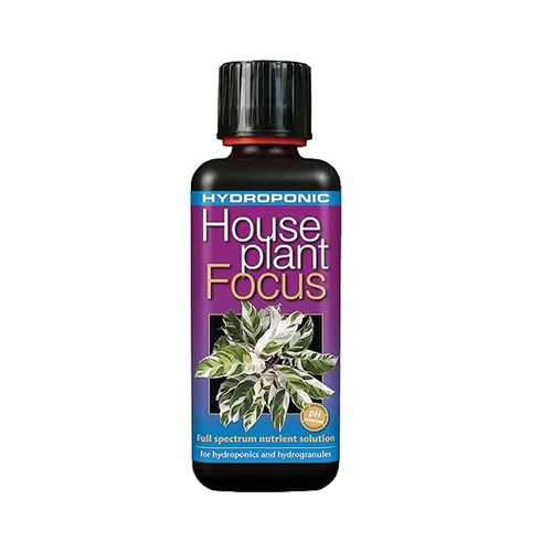 Hydroponic houseplant - hydroponic,