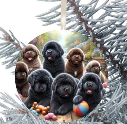 Newfoundland dog hanging - newfoundland,
