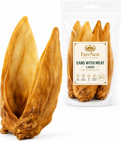 Jumbo cow ears with meat - cow, for