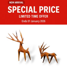Natural aquarium hand crafted - natural, hand-crafted