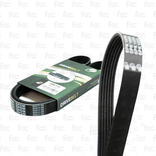 Alternator drive belt - /, fan