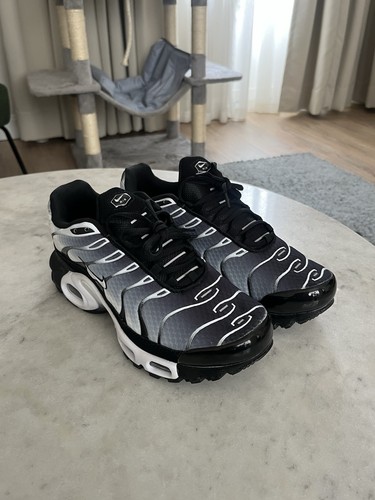 Nike air max silver - tn, grey