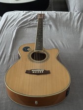 Slightlyused Acoustic Electric