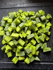 Opuntia Cactus Prickly Pear