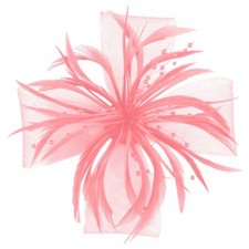 Aurora Collection Biots and