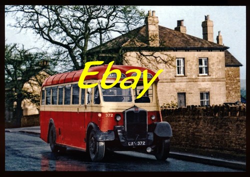 Bus photo albion red - photo,,