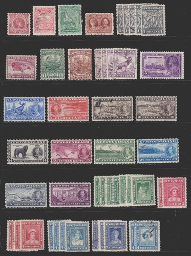 Classic newfoundland used lot - classic,