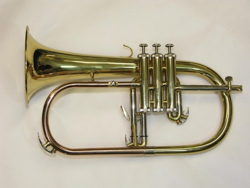 Rosetti flugel - bb,