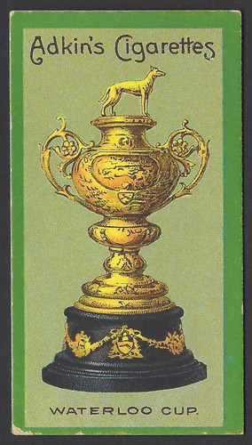 Adkin sporting cups - cups, &