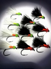 10 Angel  Cormorant Trout
