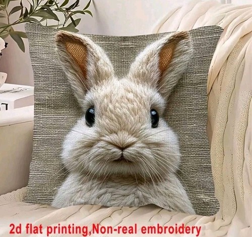 Beautiful hare rabbit - x,