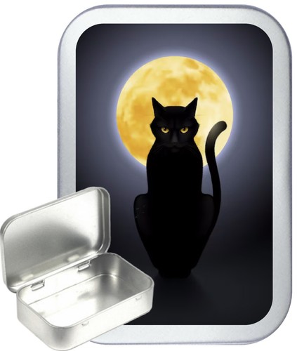 Black cat full moon silver - moon,