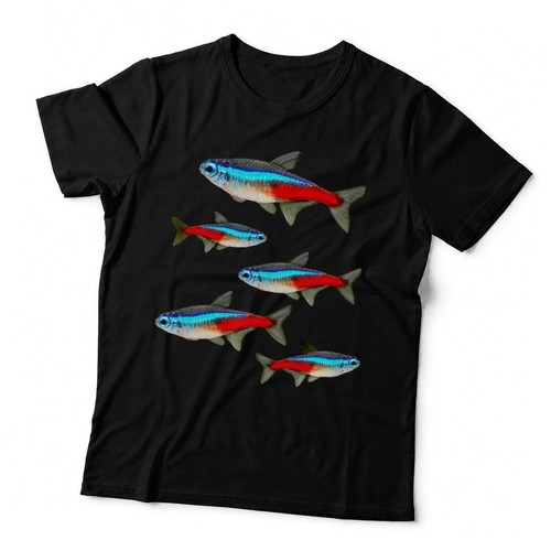Neon tetras aquarium schooling - tetras,