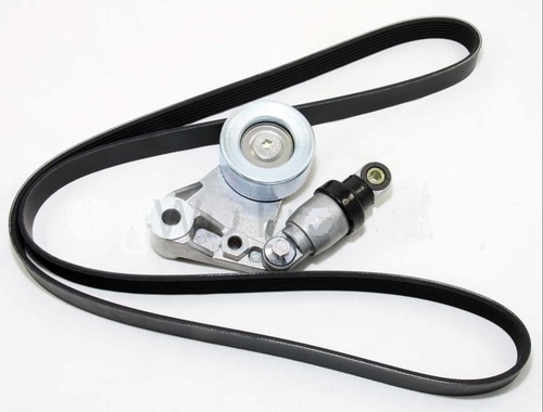 Engine fan drive belt - engine,