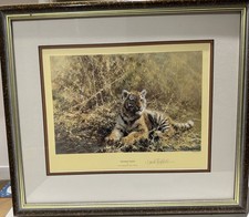 Framed Signed Limited Edition Print "Teenage Tiger" David Shepherd  1355/1500