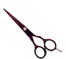 Jaguar Art Hairdressing