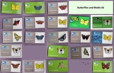 RSPB pin badges - The Butterfly and Moth Selection #3