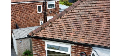 Rosemary roof tiles - rosemary, 30