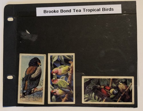 Brooke bond tea cards - brooke,