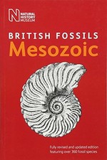 British mesozoic fossils - mesozoic,