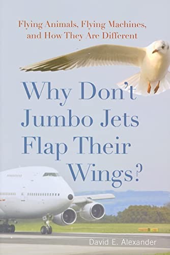 Why don jumbo jets - don't,