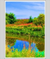 Down By The Riverbank A4 Print