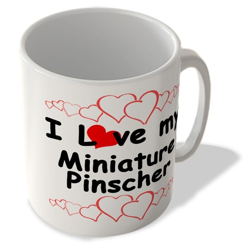 Love miniature pinscher - pinscher,