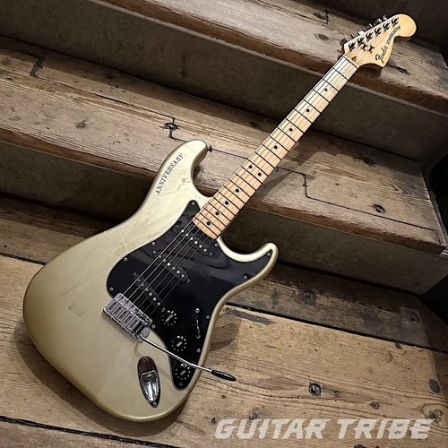 Fender stratocaster 25th - fender,