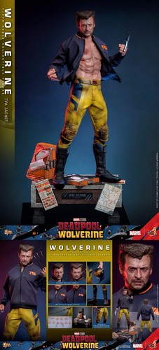 Hot toys wolverine tva - tva, jacket