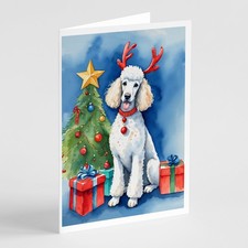 White Standard Poodle