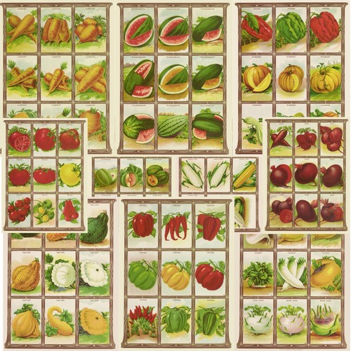 Choose from veg seed packet - from,