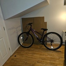 Apollo Jewel Women's Mountain