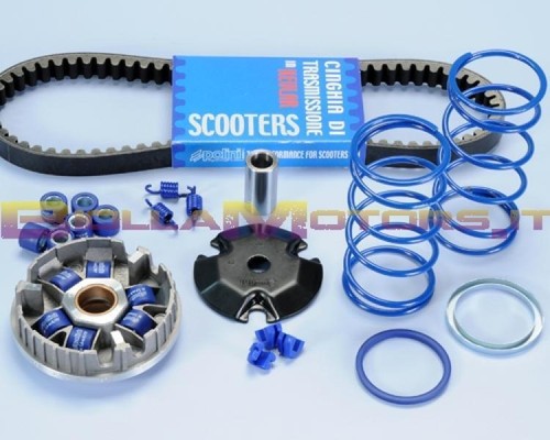 241 670 kit variator - 241.670.1, polini
