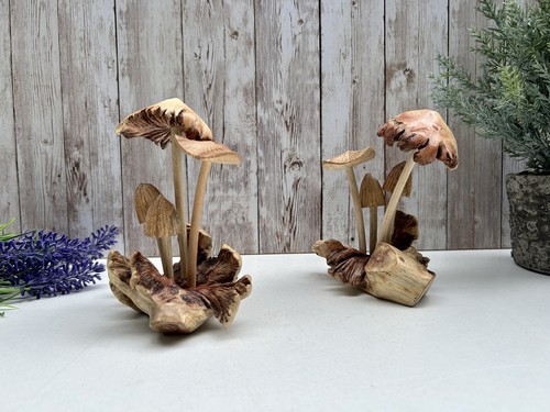 Assorted mushrooms root - on,