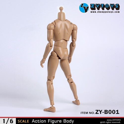 Zytoys b001 scale male - zytoys, 1/6