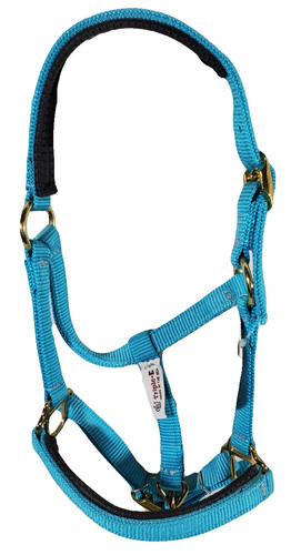 Miniature horse nylon halter - horse,